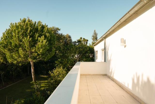 Edles Apartment In Architektenvilla Mit Grossem Pool, Sauna, Dachterrasse Und Malerischem Garten Pataias Exterior foto